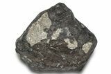 L Chondrite Meteorite ( g) - Hammadah al Hamra #302202-1